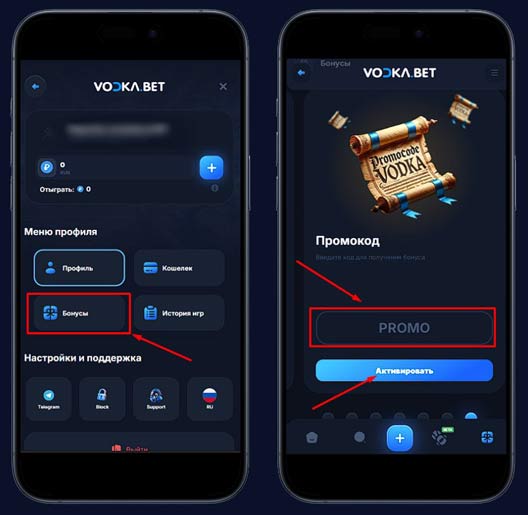 Применение промокода в Vodka Casino
